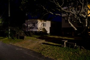 __SpookyTreeShadow_0097